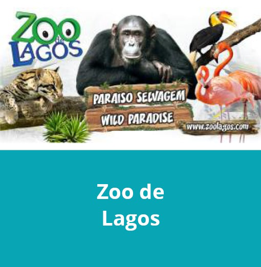 Parques_Tematicos_Zoo_Lagos.webp